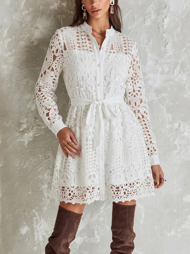 Stand Collar Full Button Hollow Water-soluble Lace Waist Tie Mini Shirt Dress